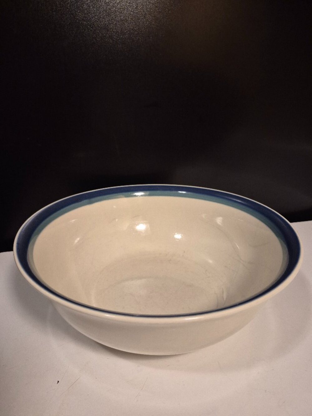VINTAGE PFALTZGRAFF NORTHWINDS LARGE SALAD STONEWARE BOWL 10"